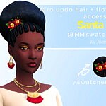 Santa Fe afro updo