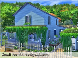 Small Farmhouse