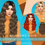 SonyaSims Hillsong Hair