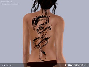 Tattoo Dragon N2