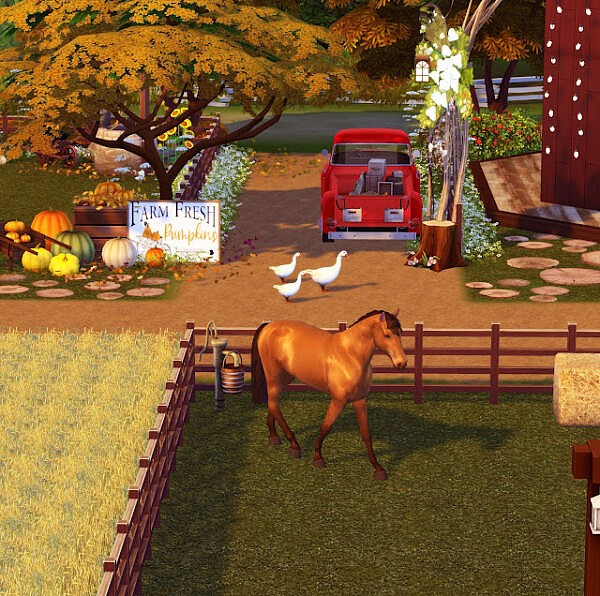 Farm Ville from Liily Sims Desing
