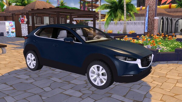 2020 Mazda CX 30 from Lory Sims