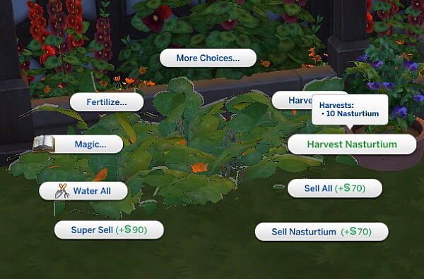 Nasturtium And Pansy New Custom Harvestables by RobinKLocksley from Mod The Sims