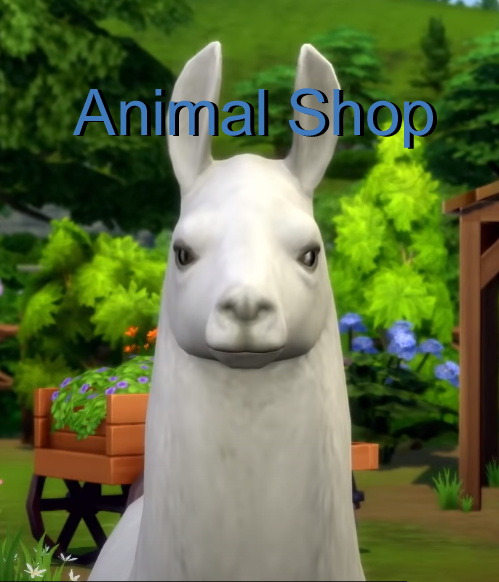 Animal Shop by Zafire from Mod The Sims