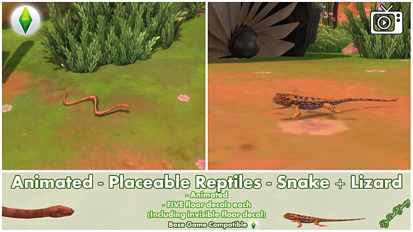Animated Placeable Reptiles   Desert Snake and Lizard by Bakie from Mod The Sims
