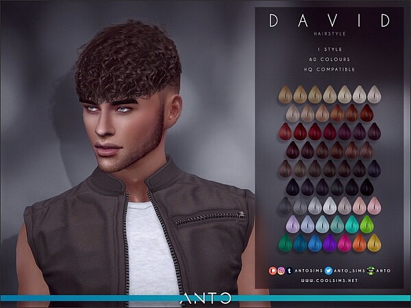 David Hair by Anto from TSR