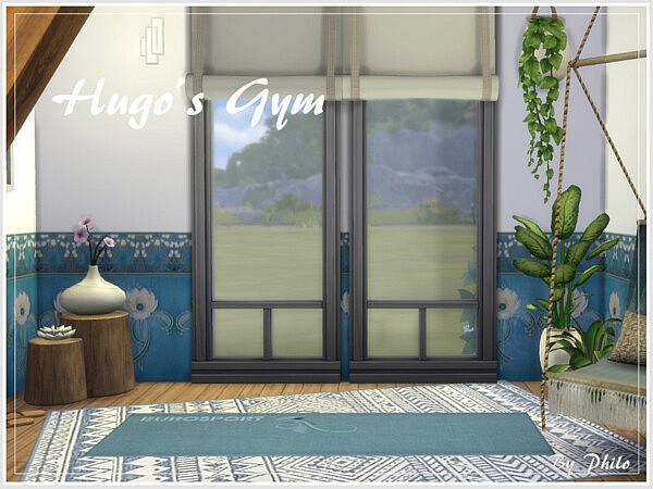 Hugos Gym by philo from TSR