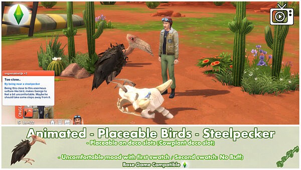 Animated   Placeable Birds   Steelpecker by Bakie from Mod The Sims
