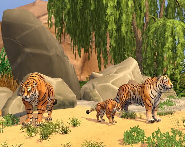 Go To Safari Park from Liily Sims Desing