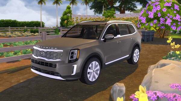 2020 Kia Telluride from Lory Sims