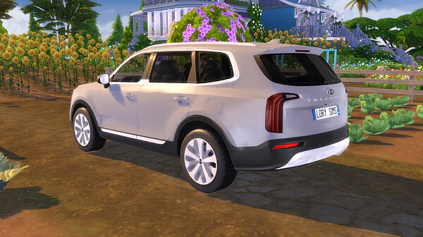 2020 Kia Telluride from Lory Sims