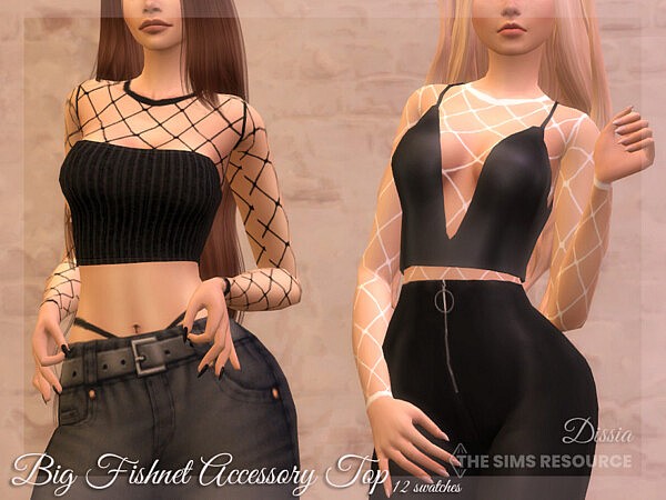 Big Fishnet Accessory Top by Dissia from TSR