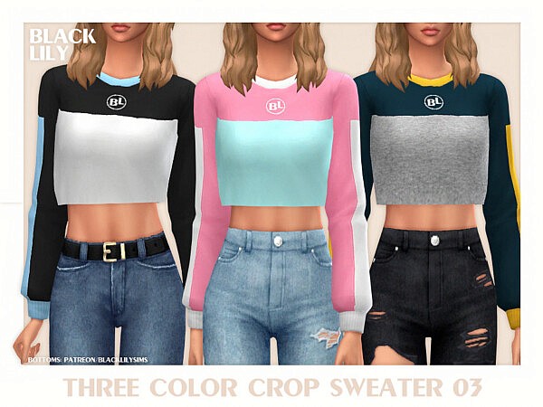 Three Color Crop Sweater 03 by Black Lily from TSR
