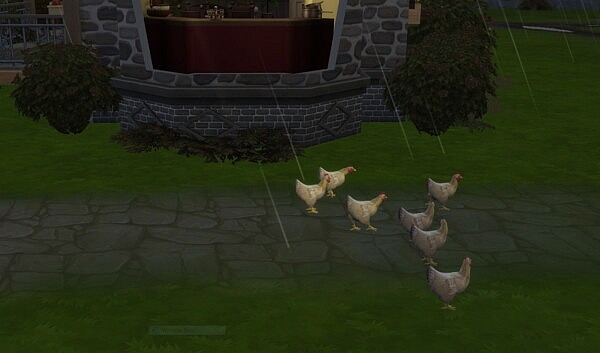 Real Breeds Buff Orpington hen by lowflyer from Mod The Sims