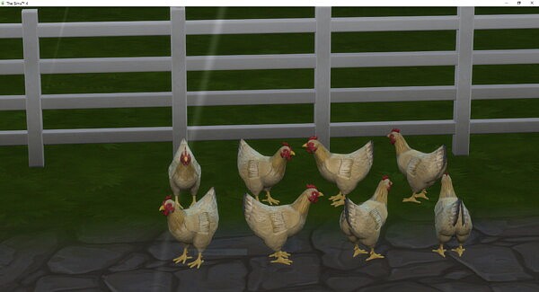 Real Breeds Buff Orpington hen by lowflyer from Mod The Sims