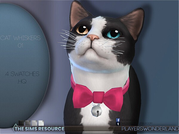 Cat Whiskers 01 by PlayersWonderland from TSR