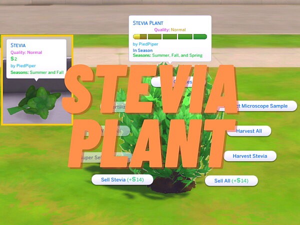 Harvestable Stevia by PiedPiper from Mod The Sims