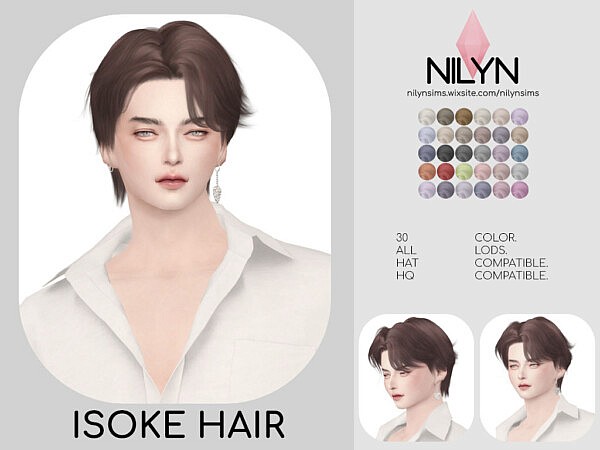 Isoke Hair from Nilyn Sims 4