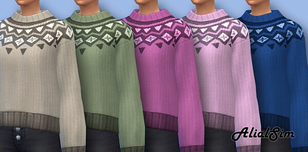 Knitted Sweater from Alial Sim