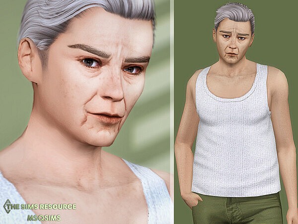 Harry Skin Overlay by MSQSIMS from TSR