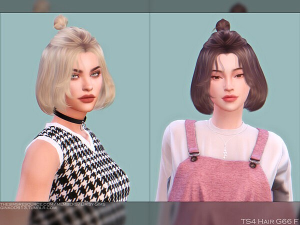 Female Hair G66 by Daisy Sims from TSR