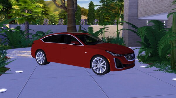 2021 Cadillac CT5 from Lory Sims