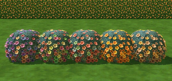 Wild Gumdrop Plant by  Simmiller from Mod The Sims