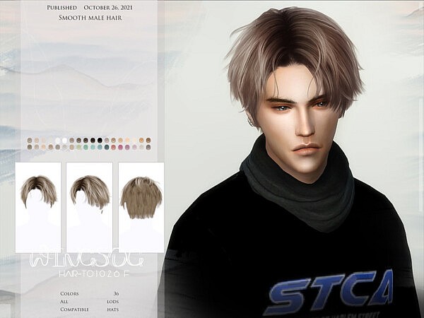 Smooth male hair TO1026 by wingssims from TSR