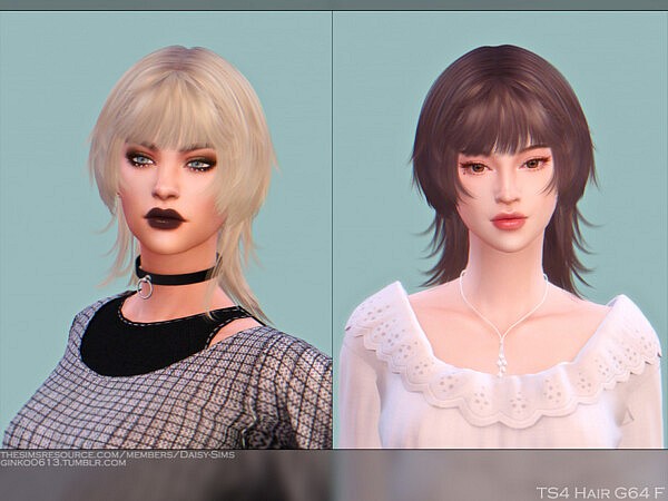 Female Hair G64 by Daisy Sims from TSR
