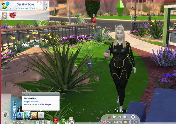 Weight Watcher Mod by lavendermeerkat from Mod The Sims