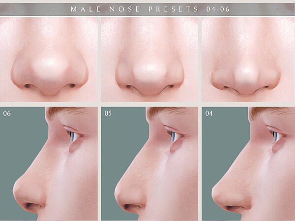 Nose Presets 04 06 from Lutessa