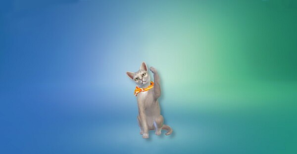 Service Cat Harness and Bandanas by Sturmfalke from Mod The Sims