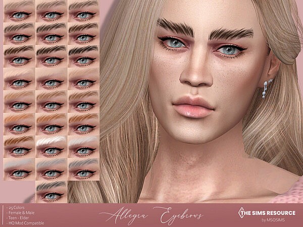 Allegra Eyebrows  by MSQSIMS from TSR