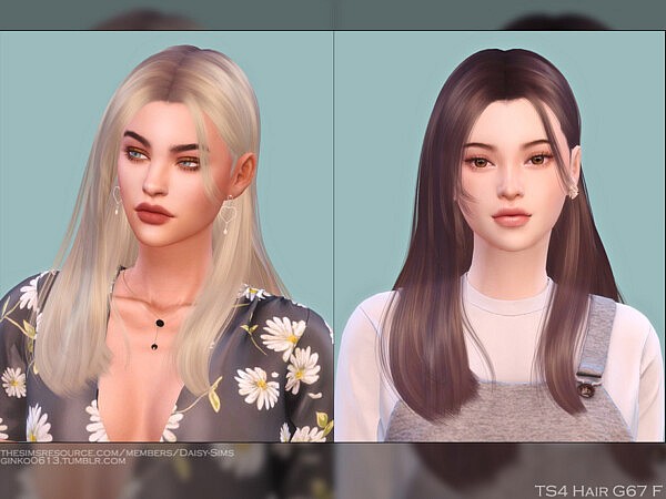 Female Hair G67 by Daisy Sims from TSR