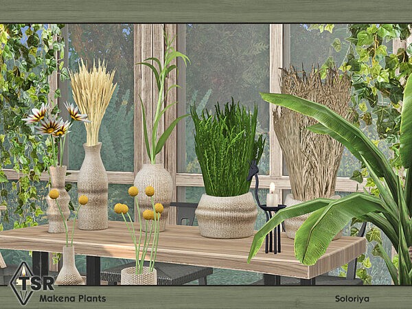 Makena Plants by soloriya from TSR