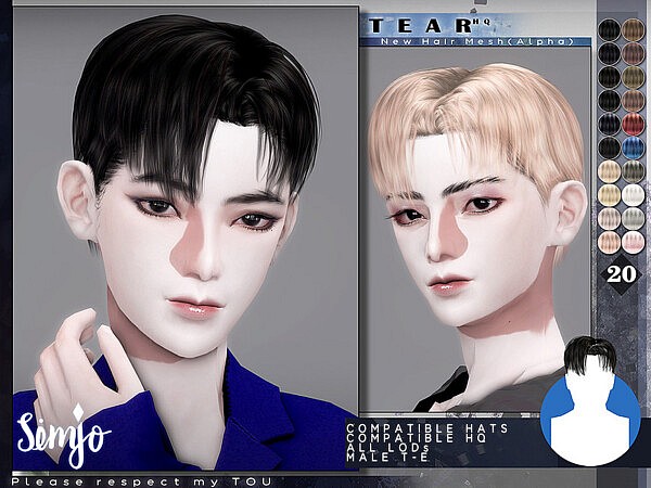 Male Hairstyle Tear by KIMSimjo from TSR