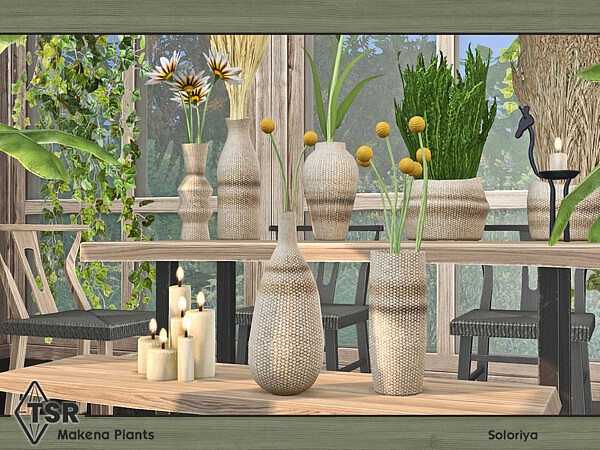 Makena Plants by soloriya from TSR
