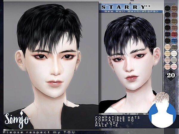 Male Hairstyle by KIMSimjo from TSR