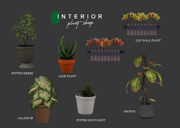 Interior Plant Shop from Leo 4 Sims