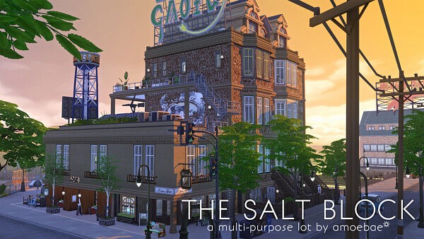 The Salt Block from Picture Amoebae