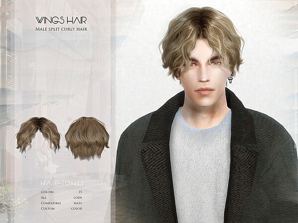 Male split curly hair   TO1223 by wingssims from TSR