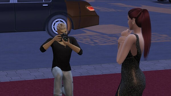 Paparazzi Career by HexeSims from Mod The Sims