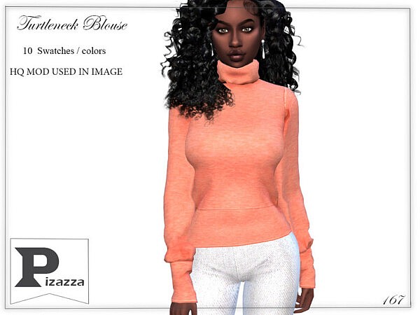 Turtleneck Blouse by pizazz from TSR