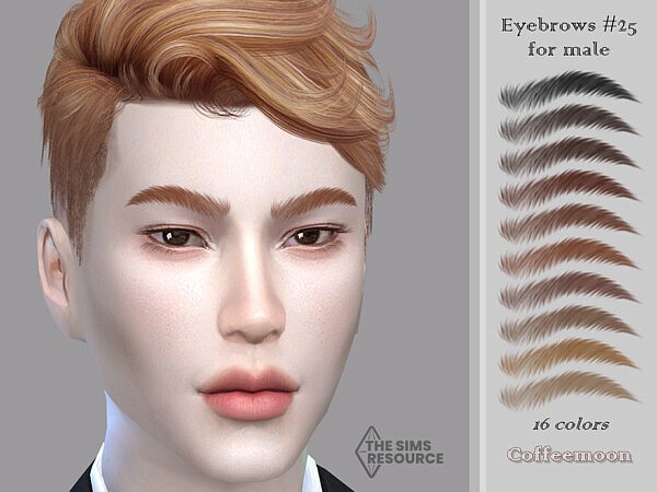 Eyebrows for male N25 by coffeemoon from TSR