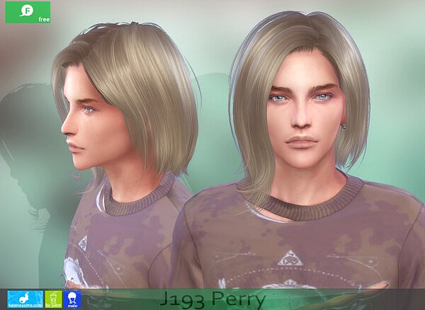 Perry Hairstyle(male) from NewSea