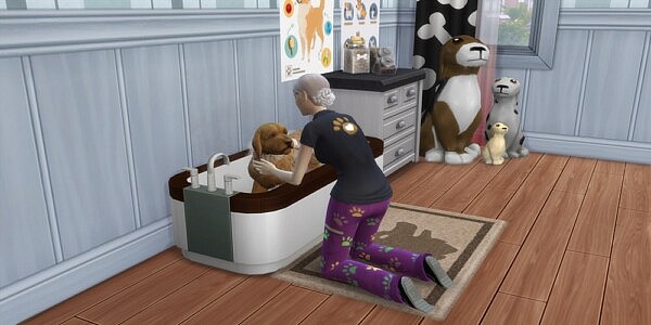 Dog Groomer Career by HexeSims from Mod The Sims
