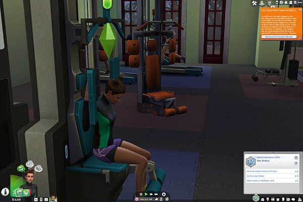 Free Fitness Aspiration by atillathesim from Mod The Sims