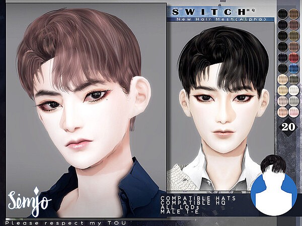 Male Hair Switch by KIMSimjo from TSR