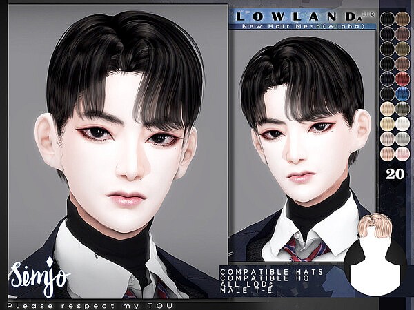 Male Hair Lowland A by KIMSimjo from TSR