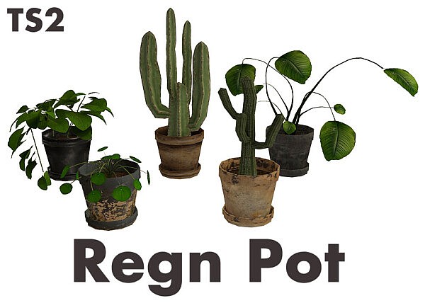 Regn Pot from Riekus13